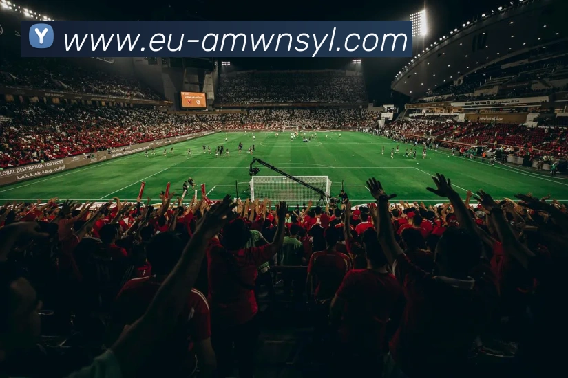 多媒体互动体验